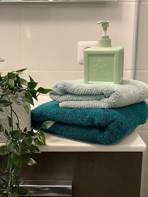 Appartement Familial 8 Personnes Proche De Disney Et Paris Шеси Екстериор снимка